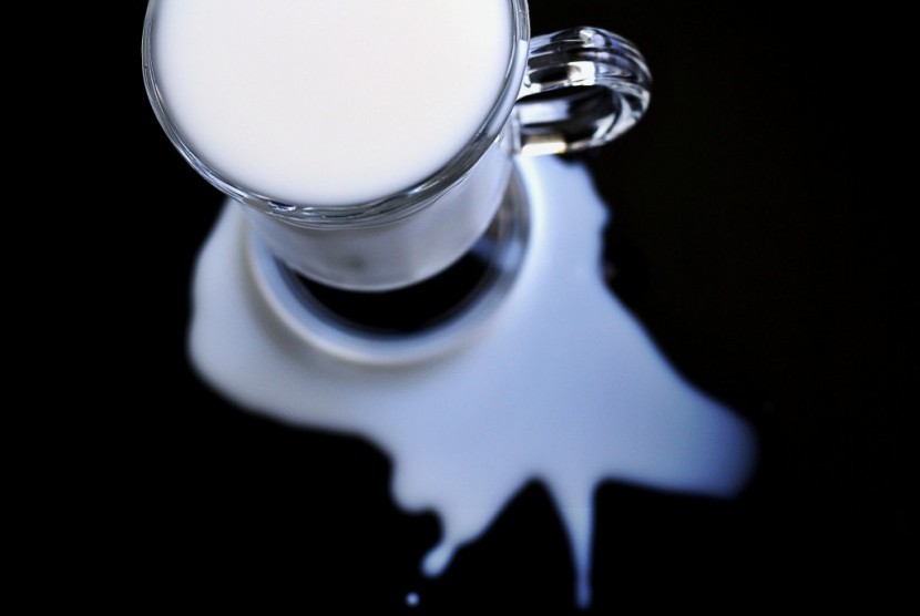 Susu sapi. Konsumsi susu bagi anak Indonesia masih terbatas.
