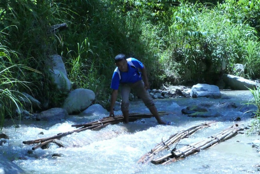 Suyadi, sekretaris Kelompok Rotan Lestari Desa Namo, Kecamatan Kulawi, Kabupaten Sigi, Sulawesi Tengah, sedang merendam rotan sehabis dipanen dari hutan desa. 