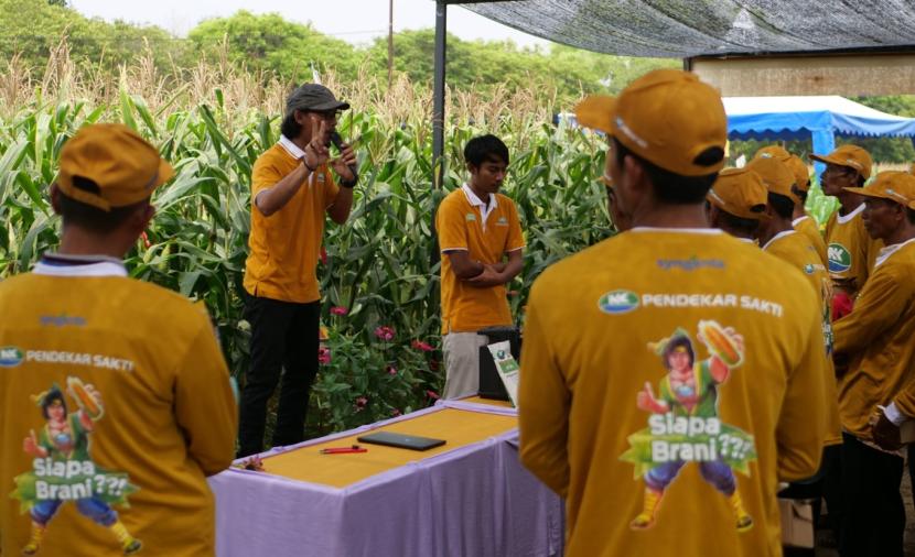 Syngenta Indonesia secara khusus membina lebih dari 227 petani di sentra jagung nasional di Jawa Timur, yaitu di Tuban, Bojonegoro, dan Lamongan.