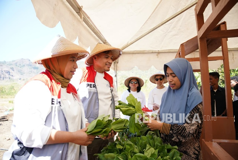 T Pertamina International Shipping (PIS) berhasil menyalurkan hampir lima juta liter air bersih kepada warga di Desa Golomori, pedalaman Labuan Bajo, dalam satu tahun terakhir. Keberhasilan ini dicapai melalui pemasangan pompa air bertenaga surya yang mampu menekan konsumsi energi listrik sebesar 4.000 kWh.