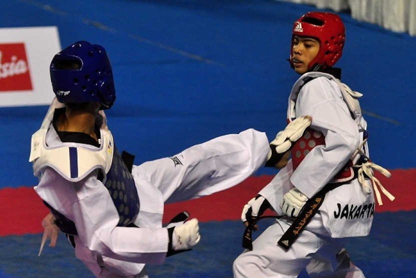 Taekwondo sparring (illustration)