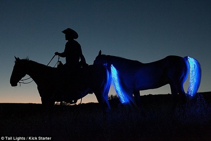 Tail light, lampu LED yang dipasang di ekor kuda