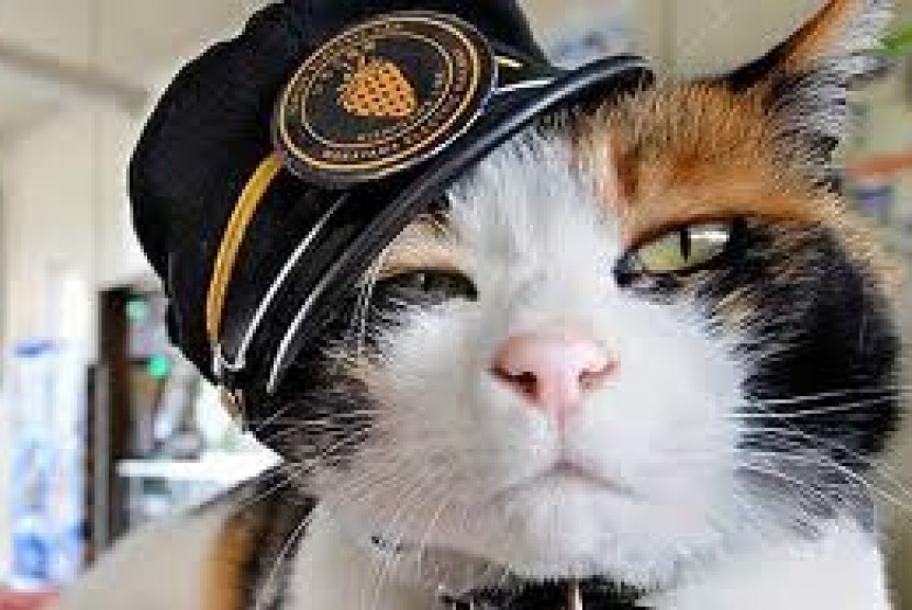 Tama, kucing yang menjadi kepala stasiun kereta api di Jepang