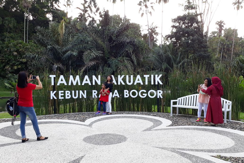 Taman Akuatik Kebun Raya Bogor. 