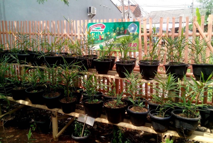 Taman Herbal Bejo di Kelurahan Bambu Apus.