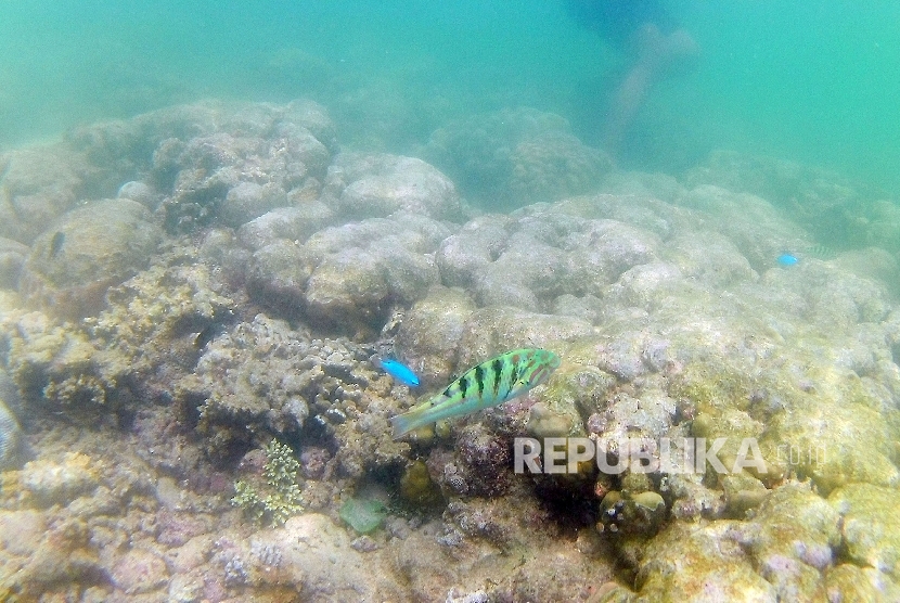 Taman Laut Bunaken, Kota Manado, Provinsi Sulawesi Utara.