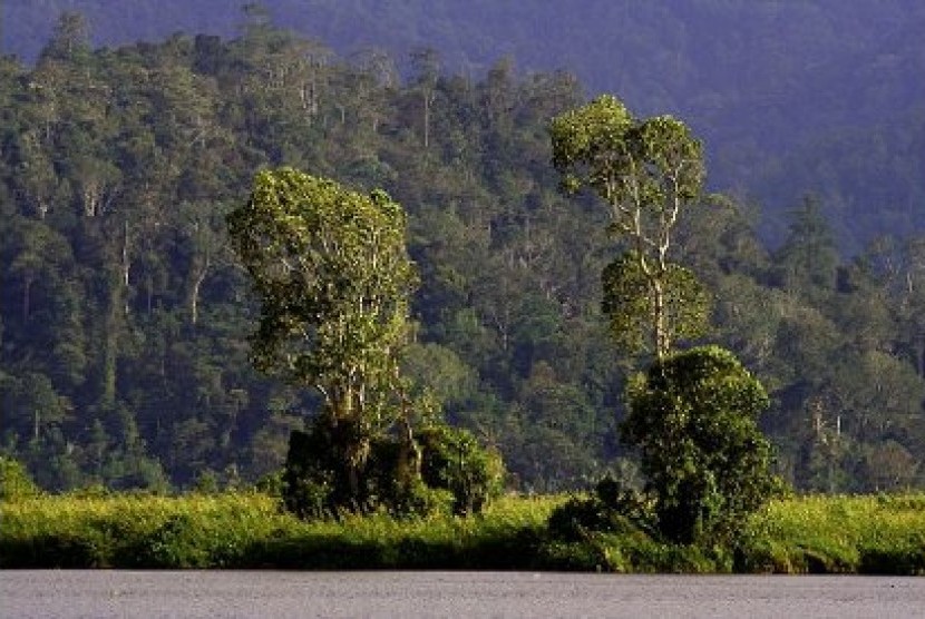 Taman Nasional Lore Lindu dengan Danau Tambing di dalamnya (ilustrasi). TNLL kembali menutup wisata di kawasan konservasi.