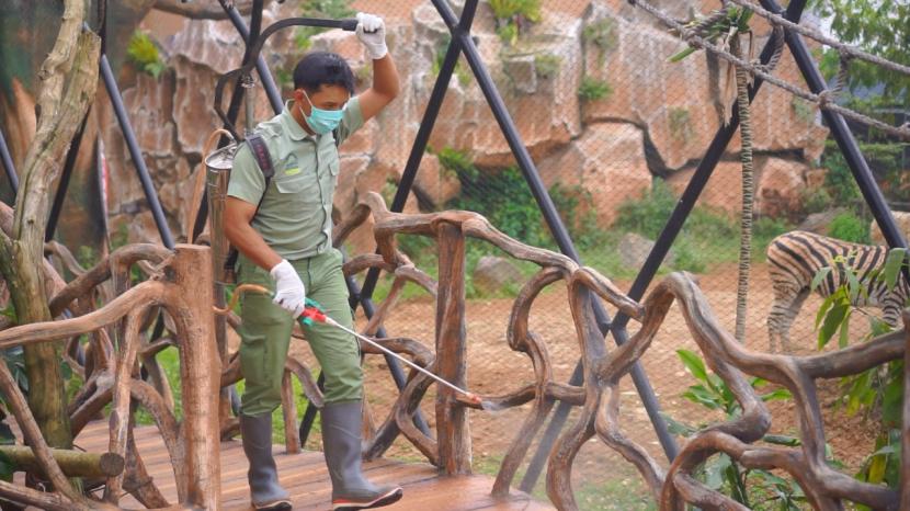 Taman Safari Indonesia lakukan penyemprotan disinfektan.