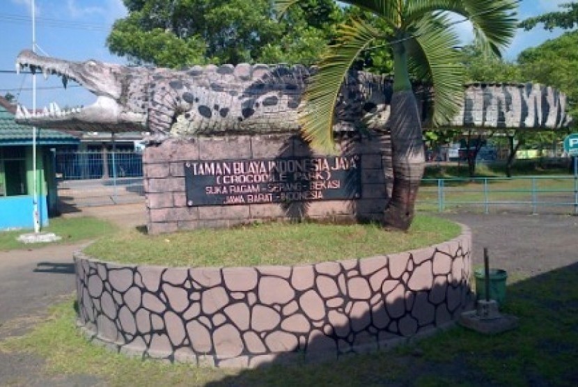  Taman Wisata Buaya Indonesia Jaya di Cikarang, Jawa Barat