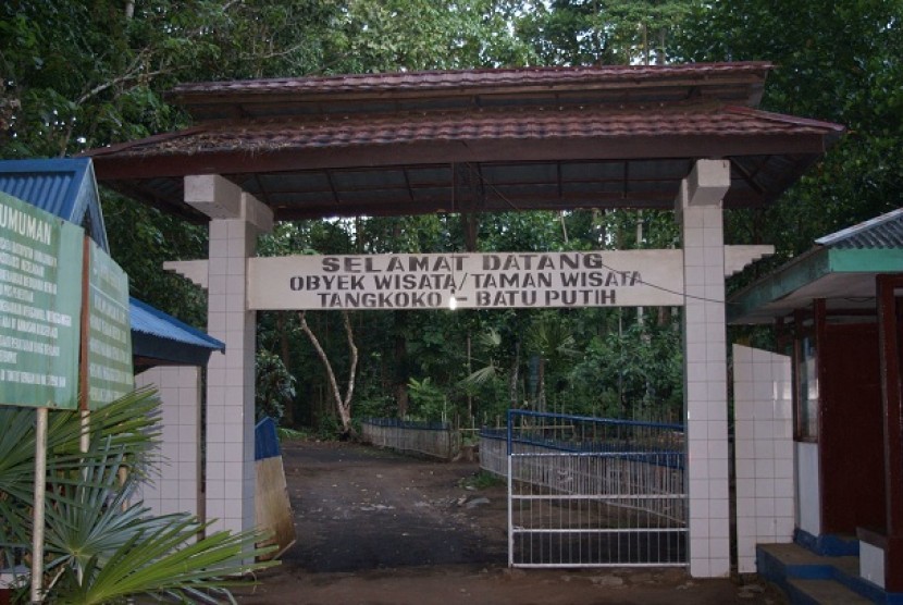 Taman Wisata Tangkoko