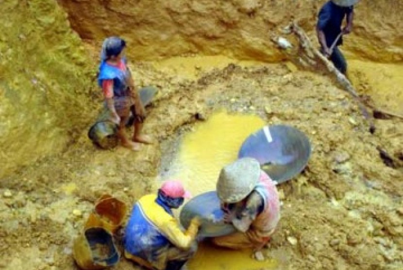 Illegal gold miners. (Illustration)