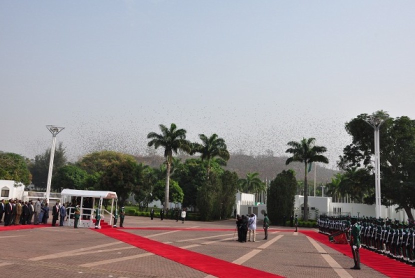 Tampak kelelawar berhamburan di atas upacara penyambutan Presiden SBY di Abuja, Nigeria, Sabtu (2/2). Mereka dikejutkan suara dentuman meriam yang dibunyikan menyambut kedatangan SBY. Kelelawar bersarang di bukit batu Aso Rock yang terletak di depan Aso Ro
