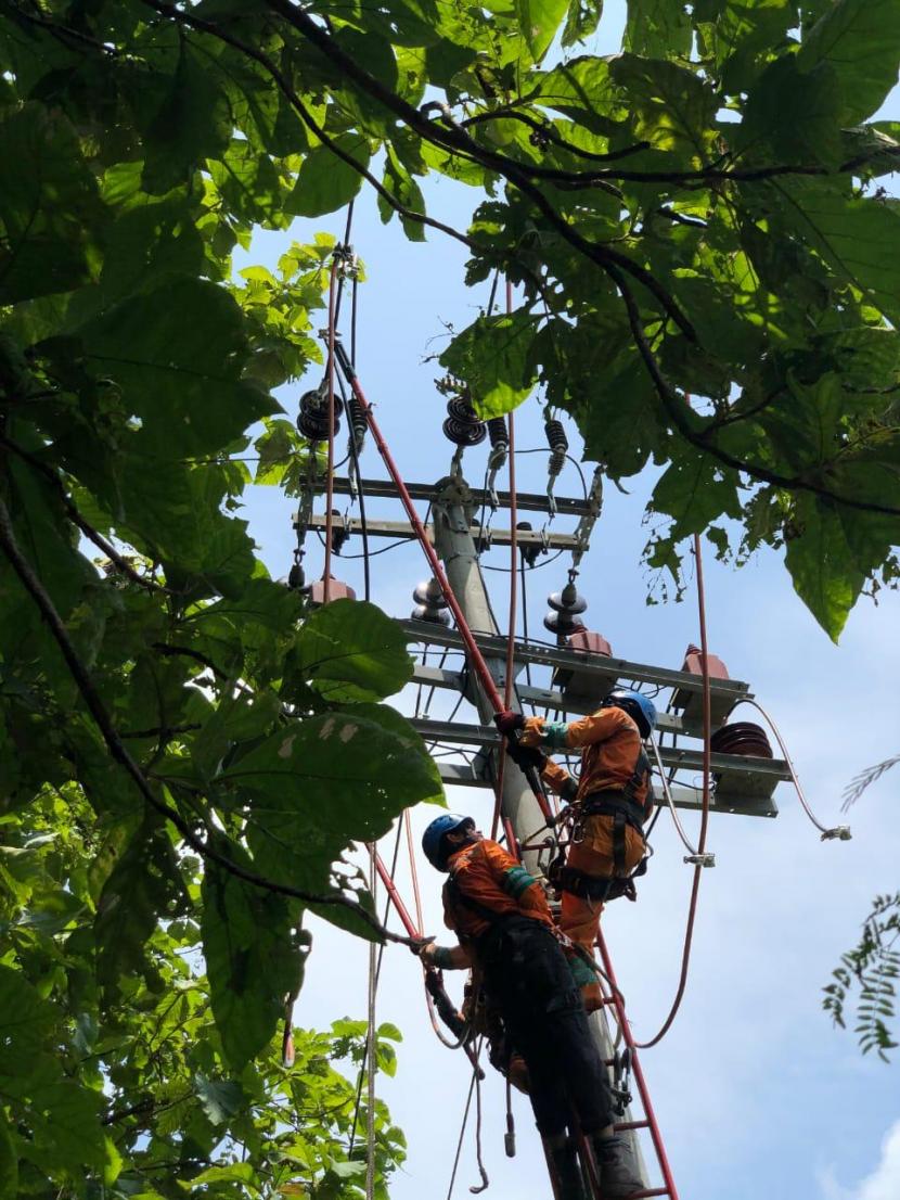 Tampak petugas PLN sedang memperbaikin fasilitas jaringan listrik 
