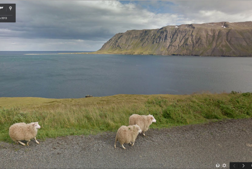 Tampilan layar dari situs Google Sheep View – situs yang mengumpulkan foto-foto domba dari seluruh dunia.