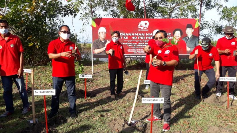 Tanam Mangrove di HUT Megawati, Ketua DPP PDIP: Aksi Selamatkan Ekosistem Indonesia