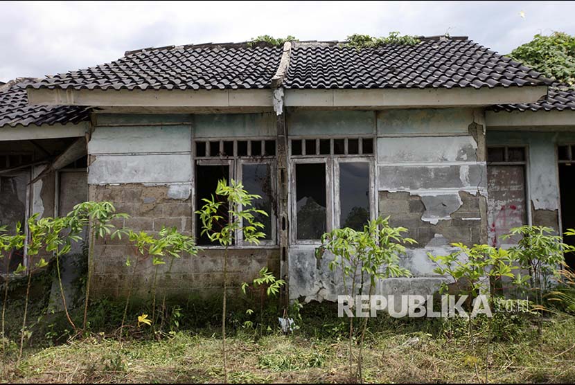 Tanaman liar tumbuh di lahan pekalangan rumah subsidi di Klapanunggal, Cileungsi, Bogor, Jawa Barat 