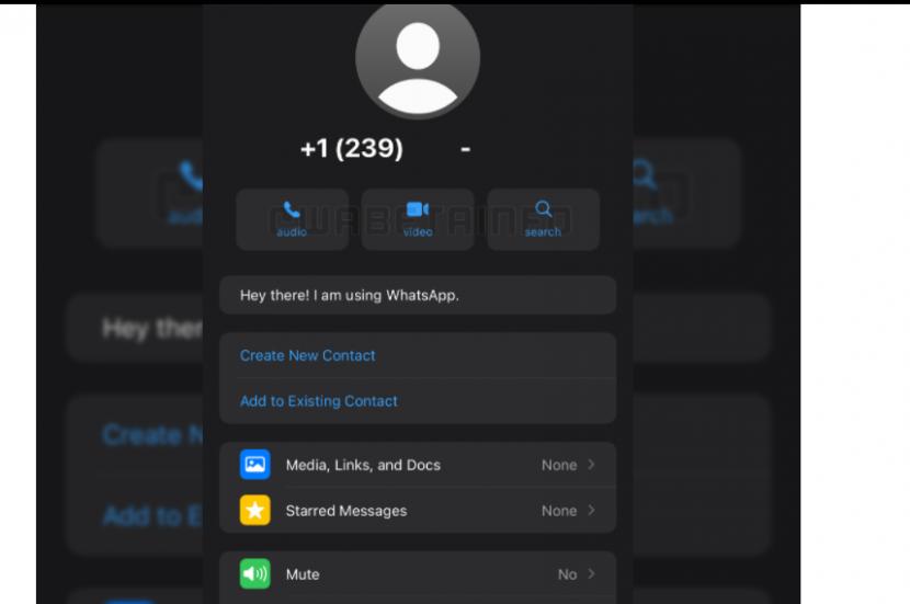 Tangkapan layar Halaman Info Kontak yang didesain ulang saat ini hanya untuk pengguna iOS dan telah diluncurkan ke penguji beta.