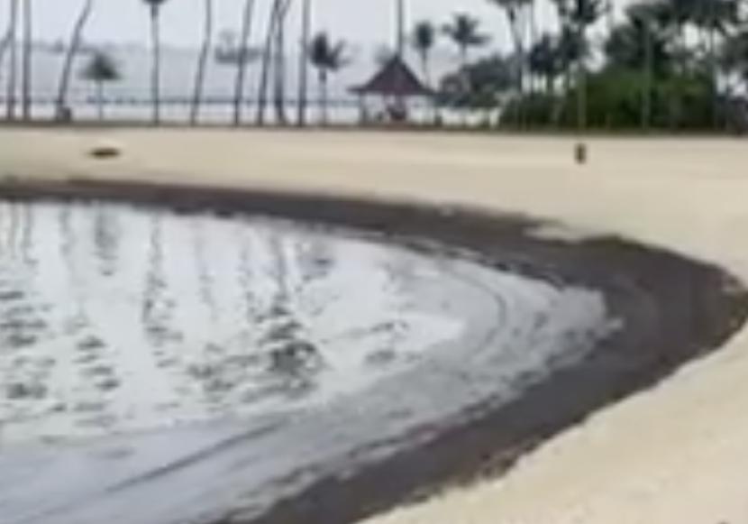 Tangkapan layar pantai di Singapura menghitam akibat tumpahan minyak di laut.