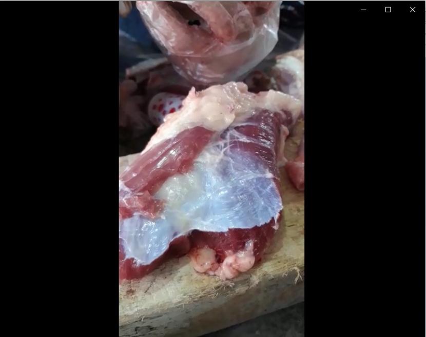 Tangkapan rekaman video yang memperlihatkan potongan daging hewan kurban yang bergerak sendiri.