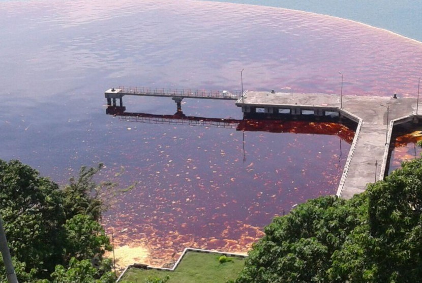 Tangki timbun CPO di Teluk Bayur mengalami kebocoran. Akibatnya, 3 ribu ton minyak sawit mentah mencemari perairan Teluk Bayur, Kamis (28/9).Republika/Sapto Andika Candra