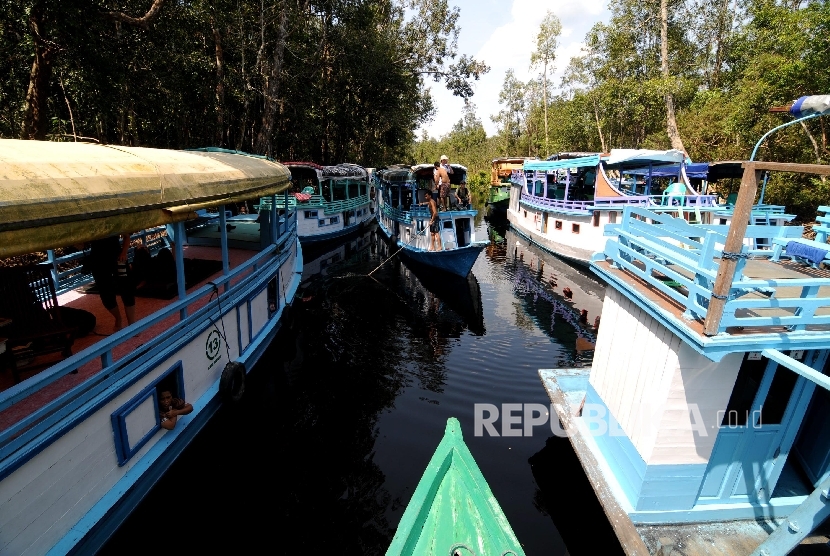 Tanjung Puting