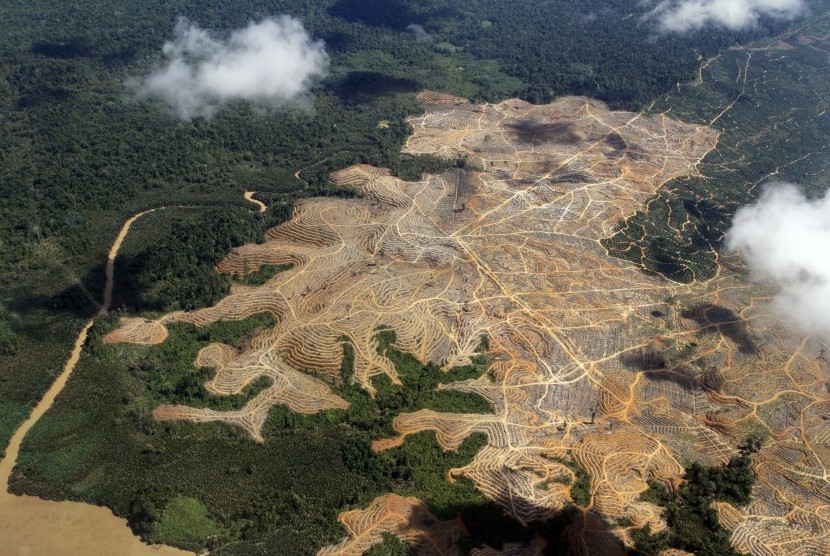 TARAKAN -- Foto udara lokasi penebangan di kawasan hutan Kalimantan Timur, Senin (16/7). Hasil riset Heart of Borneo (HoB) menyebutkan hutan alam seluas kurang lebih 22 juta hektar di wilayah Kalimantan dan sekitarnya terancam oleh alih fungsi ke pertamban