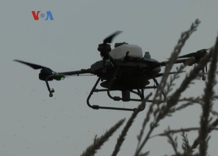 Teknologi pertanian otonom memanfaatkan robot dan drone.