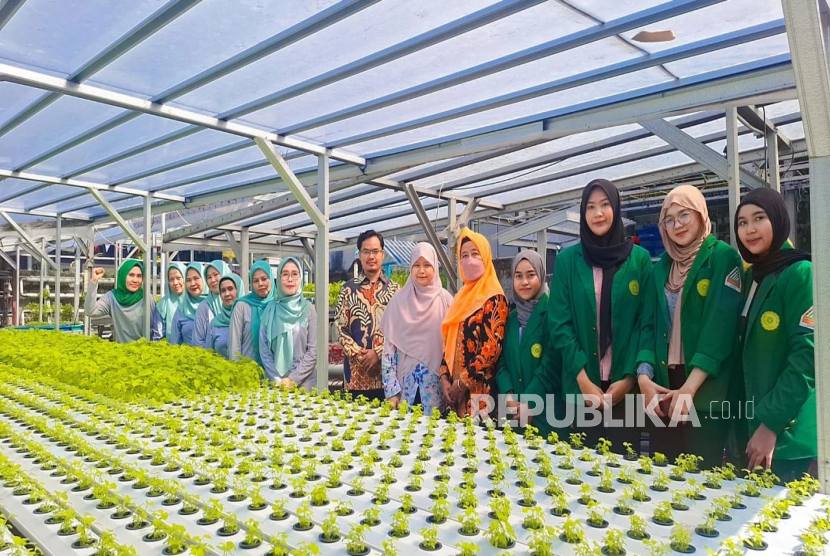 UMJ Terapkan Teknologi Smart Hidroponik Bertenaga Surya Terintegrasi IoT