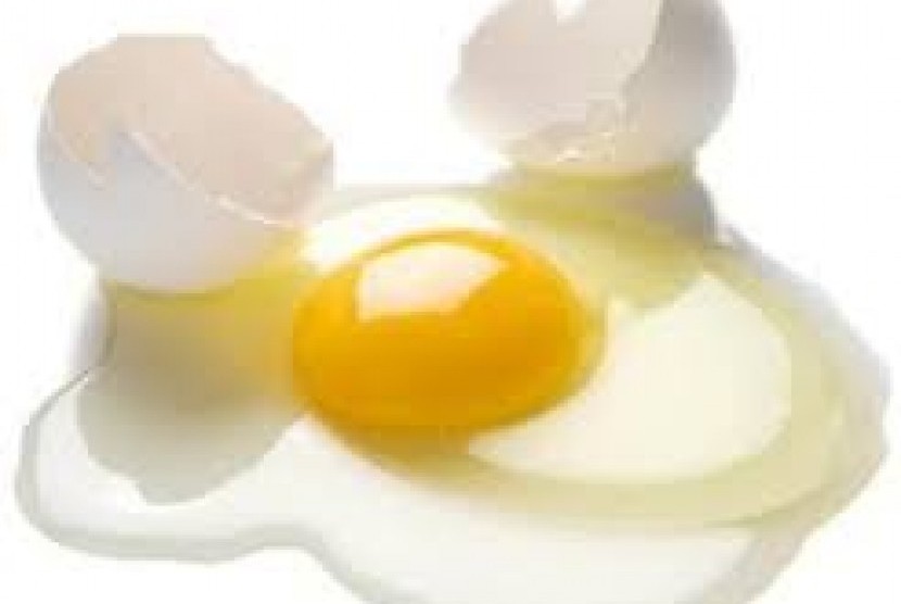 Telur