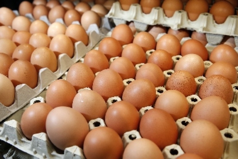 Telur merupakan bahan pangan kaya gizi yang bisa diolah menjadi beragam menu.