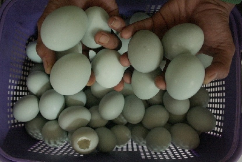 Daerah sebagai asin makanan khas telur dikenal PRAKARYA ·