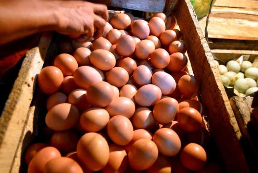 Telur ayam negeri