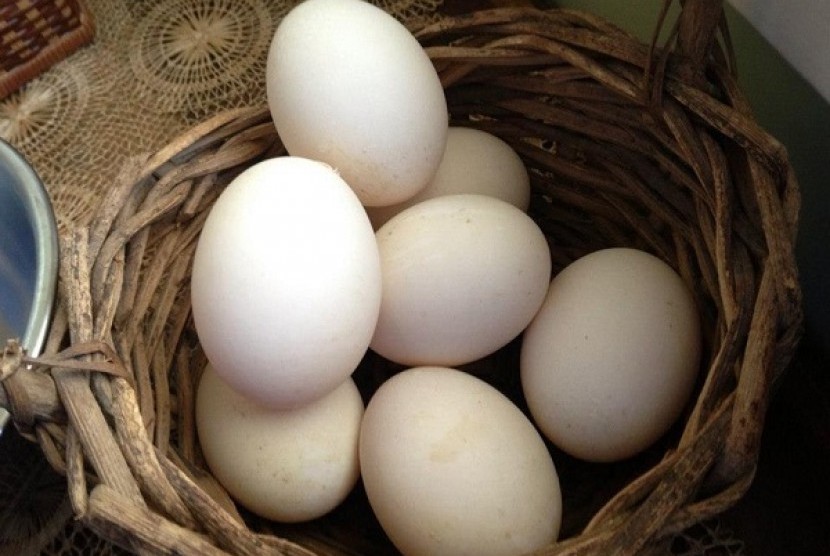 Telur bebek (Ilustrasi)