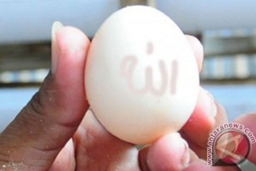 Telur berlafadz Allah (Ilustrasi)