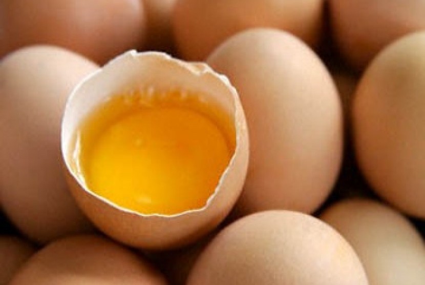 Telur sering kali diklaim sebagai makanan kolesterol tinggi. Telur harus dikonsumsi utuh, karena kuning telur juga mengandung nutrisi penting seperti vitamin D.