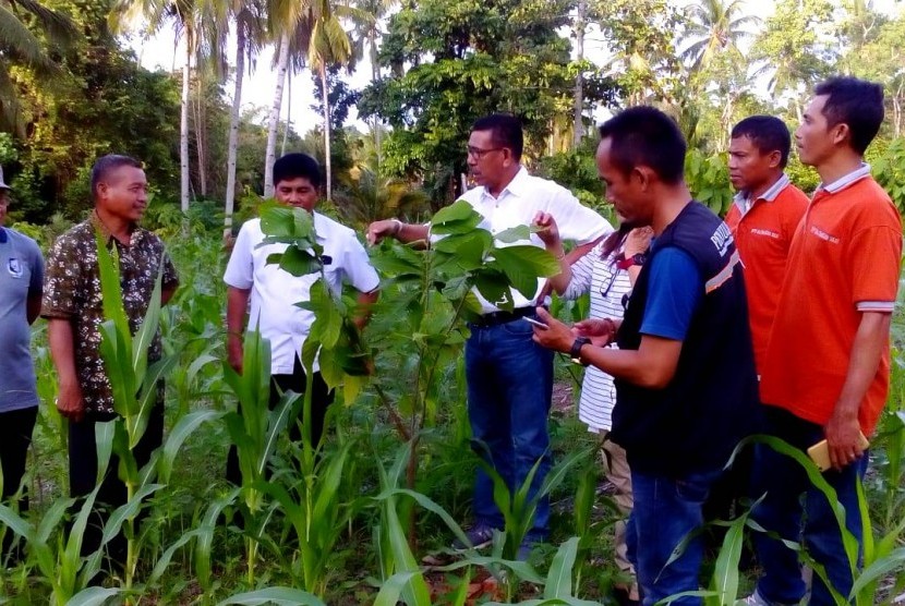 Temu lapang antara petani, peneliti, penyuluh,Kontak Tani Nelayan Andalan (KTNA), dan anggota Gabungan Kelompok Tani (Gapoktan) digelar di Desa Sidodadi, Kecamatan Sangkup Bolaang Mongondow Utara (Bolmut)