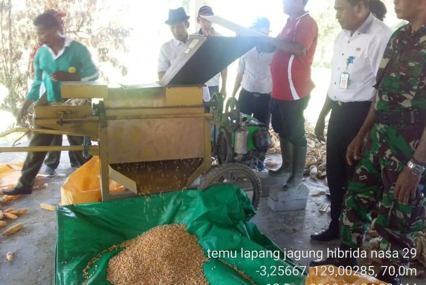 Temu Lapang dan Panen Benih Jagung Hibrida NASA 29 berlangsung di Kebun Percobaan (KP) Makariki yang terletak di kilometer 04 Negeri Makariki, Kecamatan Amahai, Kabupaten Maluku Tengah, Rabu (12/12). 