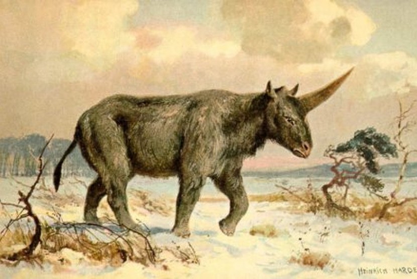 Tengkorak dari unicorn Siberia ditemukan di Kazakhstan.
