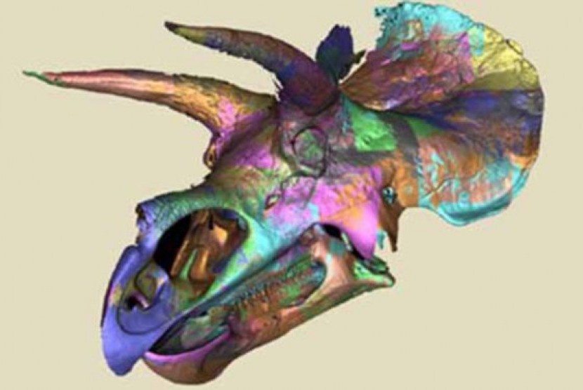 Tengkorak Triceratops yang telah didigitalisasi melalu pemindaian CT.