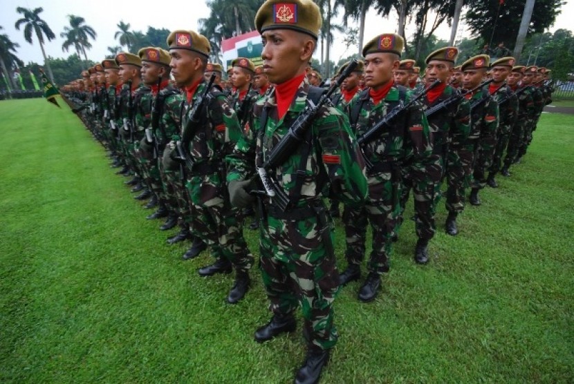 Tentara Nasional Indonesia (ilustrasi)