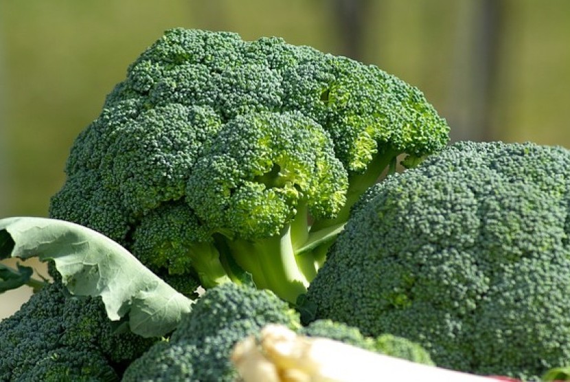 Brokoli, sayuran kaya kalsium