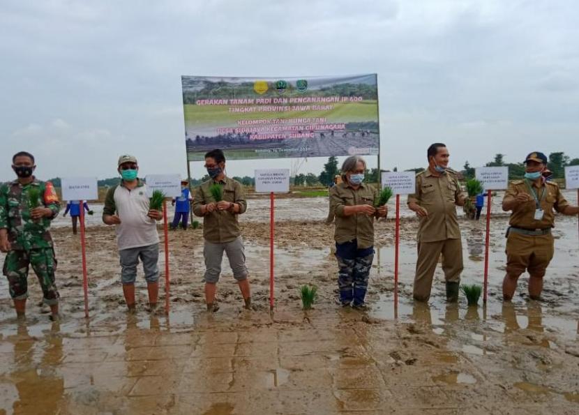 Terobosan Kementerian Pertanian (Kementan) dalam meningkatkan produksi padi salah satunya melalui pengenalan model Indeks Pertanaman (IP) 400 yang dikelola secara integrated farming menuju zero waste.