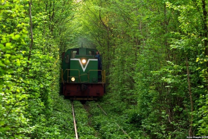 Terowongan pohon di lintasan kereta Klevan Ukraina.