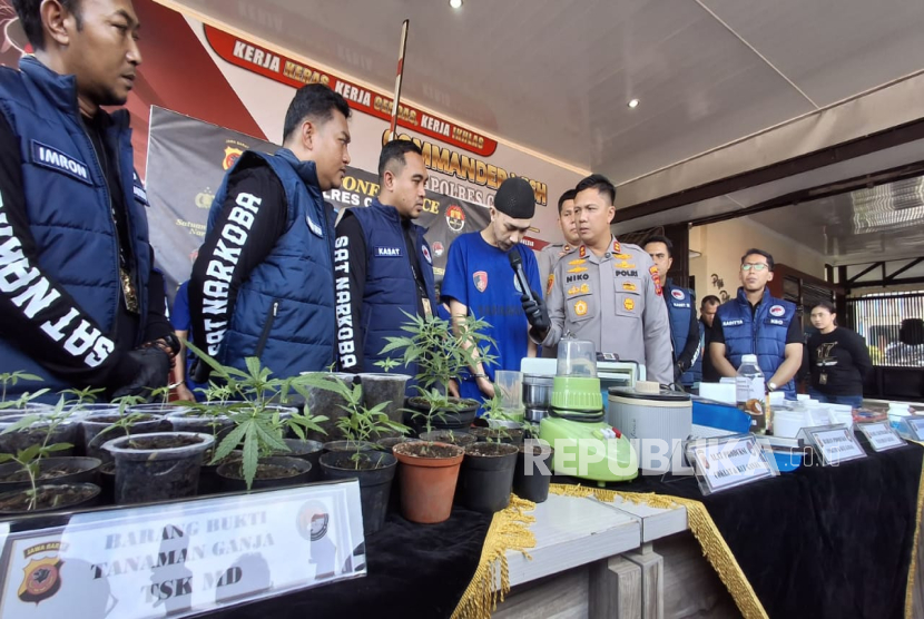 Pria Asal Bandung Barat Ditangkap Polisi Gegara Jualan Cokelat Ganja