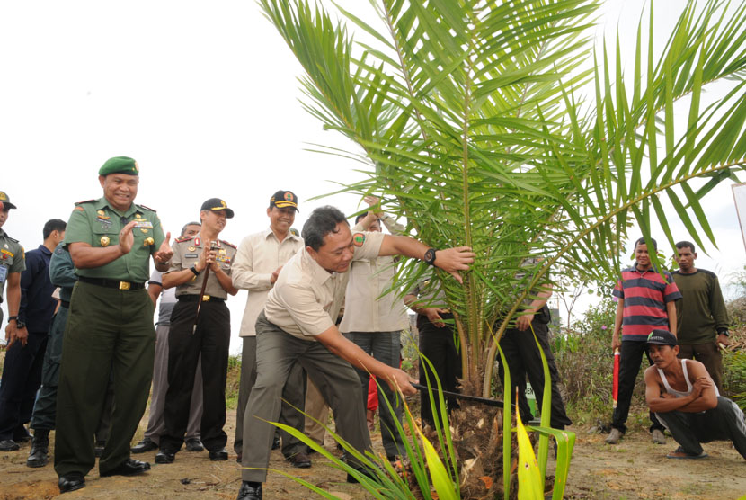   Menhut Zulkifli Hasan secara simbolis menebang pohon sawit disaksikan Danrem 031/WB Brigjen TNI Prihadi Agus Irianto (kiri) dan Kapolda Riau Brigjen (Pol) Condro Kirono (kedua kiri) di kawasan Taman Nasional Tesso Nilo, Provinsi Riau, Kamis (22/5).