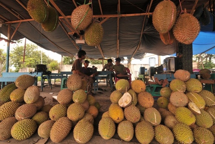 Festival durian 