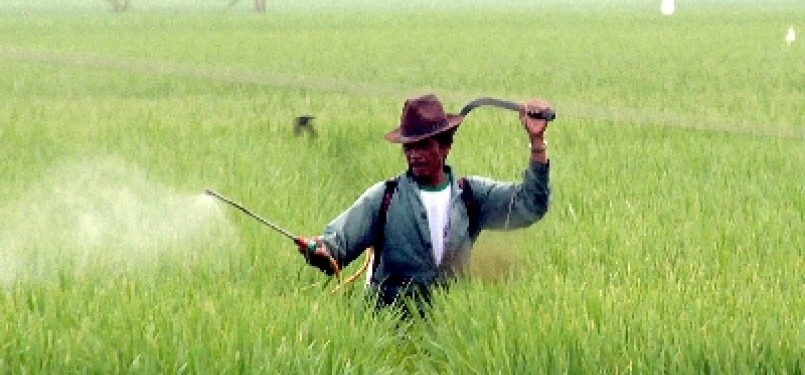 Government plans to divert fuel subsidy to fertilizer, seeds, and other posts to achieve self suffiiency in rice. (Illustration)