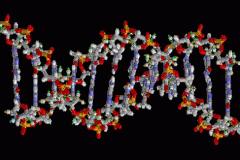 The structure of part of a DNA (illustration)