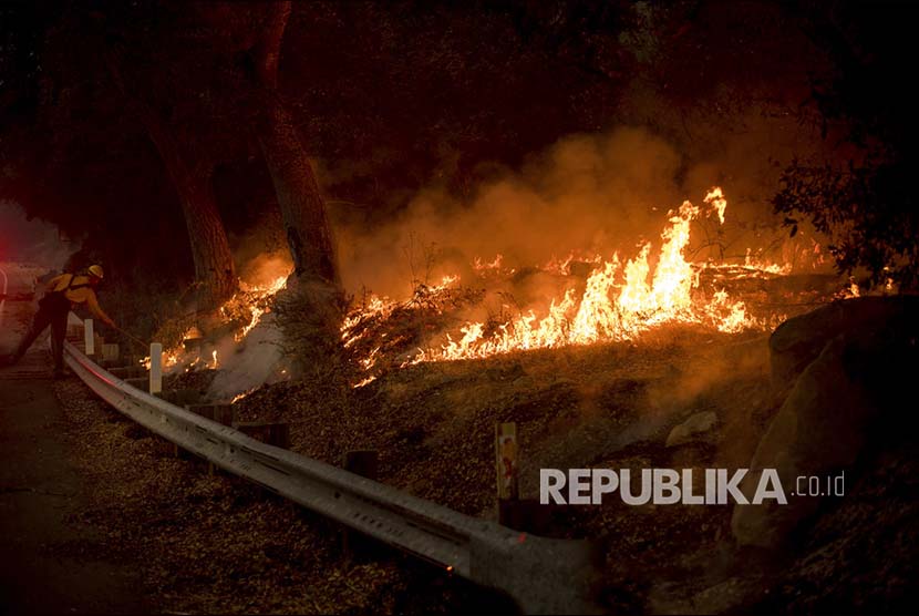 Kebakaran hutan. (ilustrasi) 