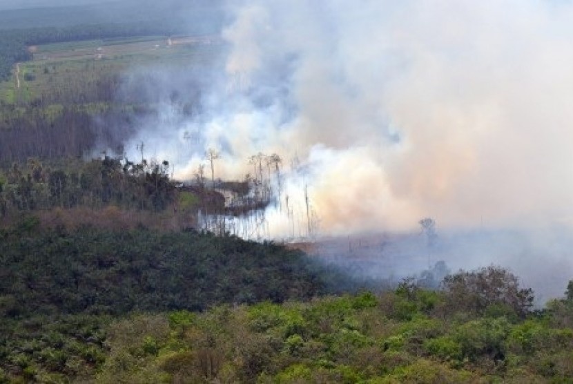 Thick smoke billows from forest fire in Riau on March 20, 2014. (File photo)